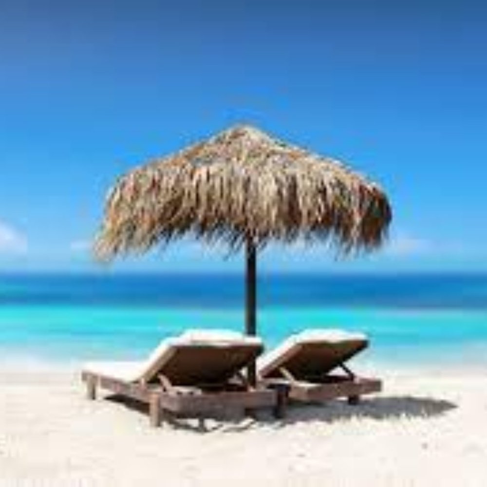 Meet your Posher, Michele